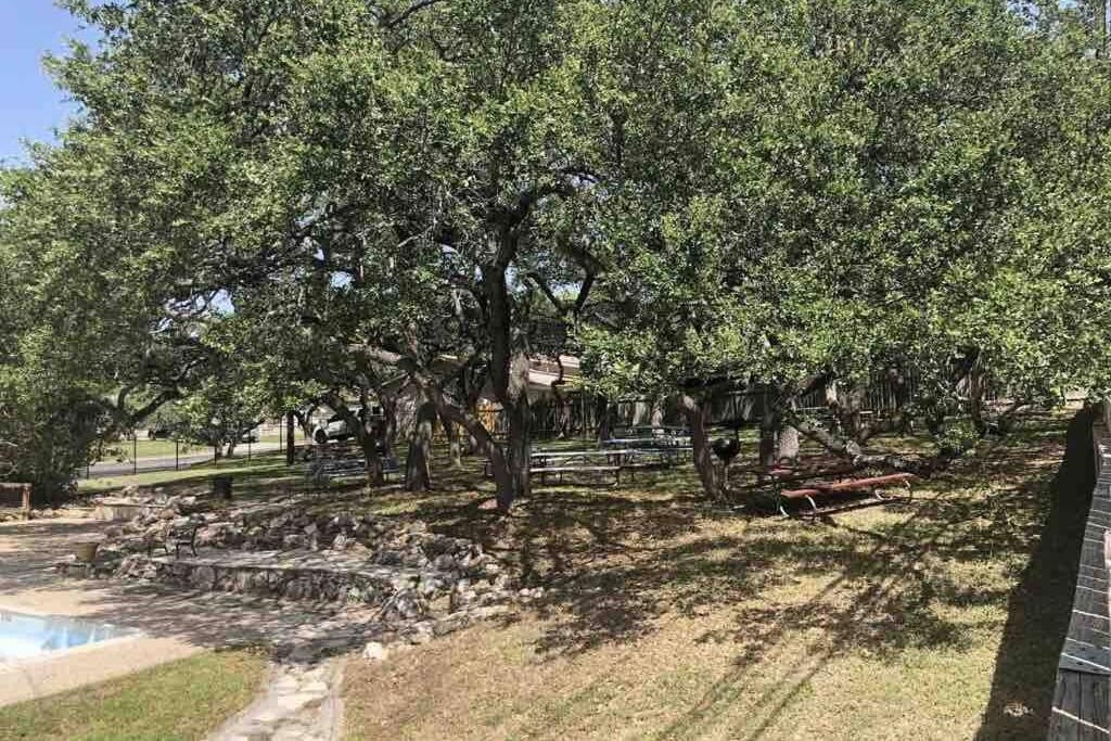 Villa Cyc Eclectic Back House With Bbq Gazebo San Antonio Exterior foto